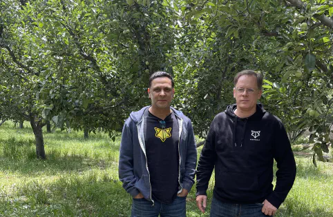 img/featured/kashmir_apples.jpg